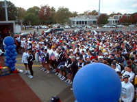 �X�^�[�g���O�̃����i�[