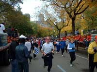 �S�[���O�̗l�q